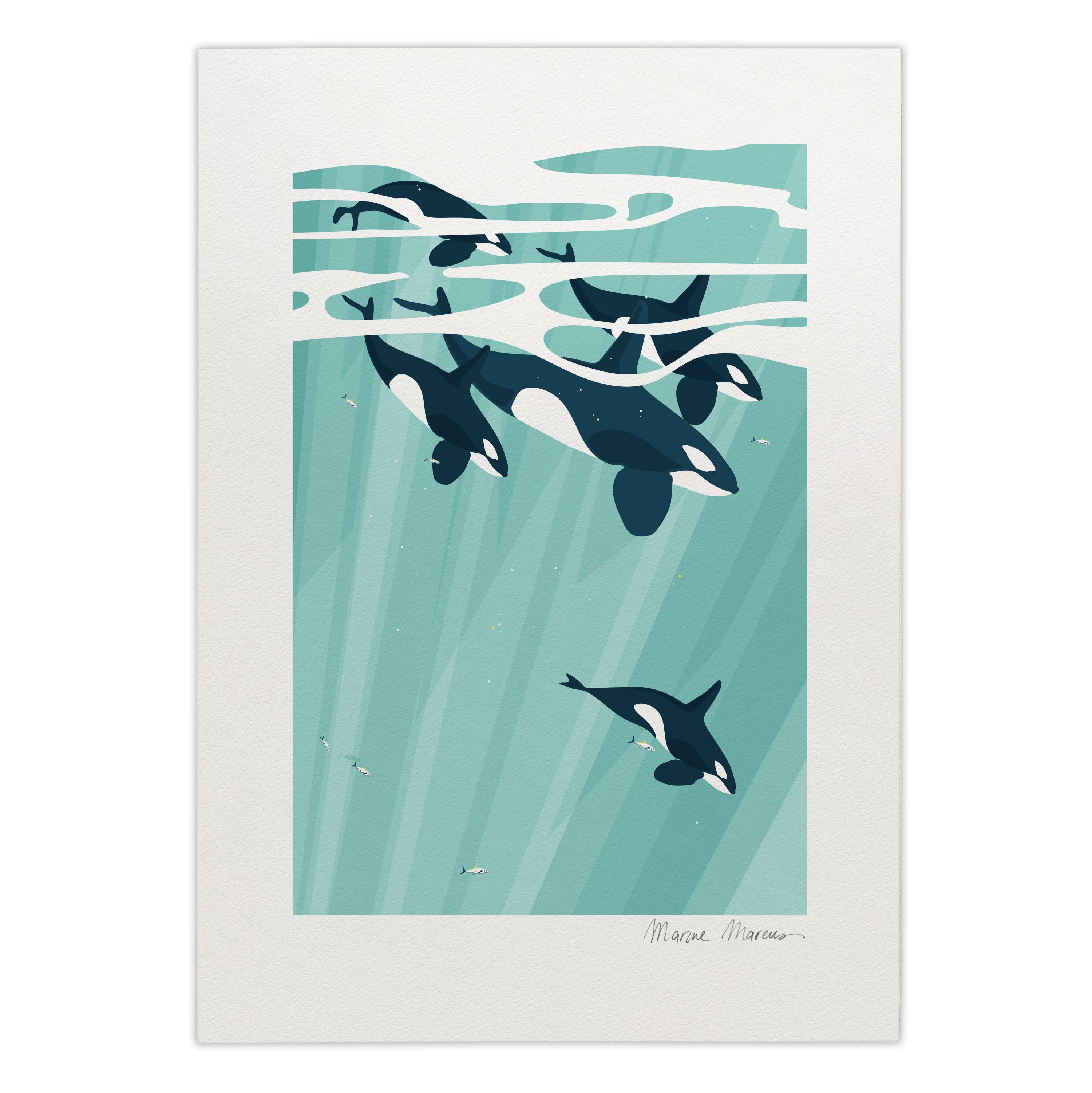 Illustration of orcas swimming underwater with a teal gradient background