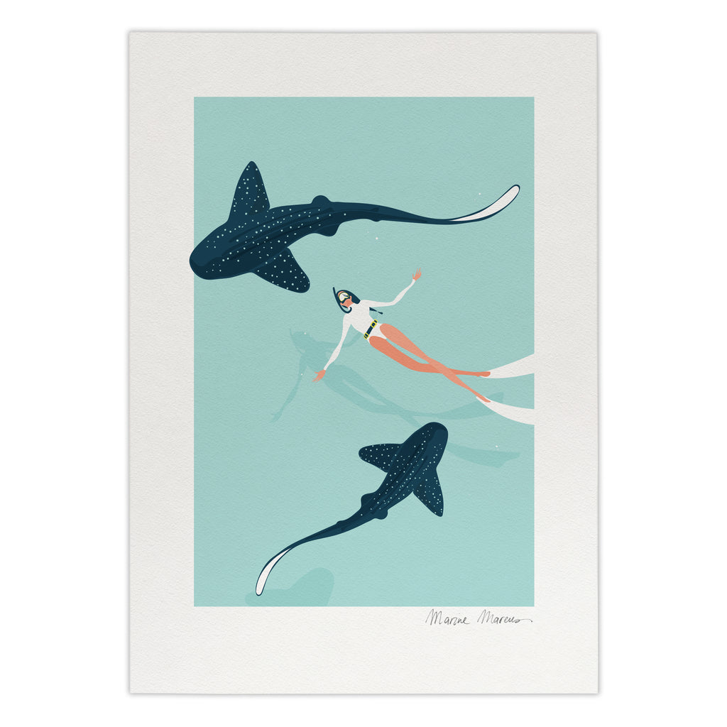 Dancing with Zebra Sharks  - Print