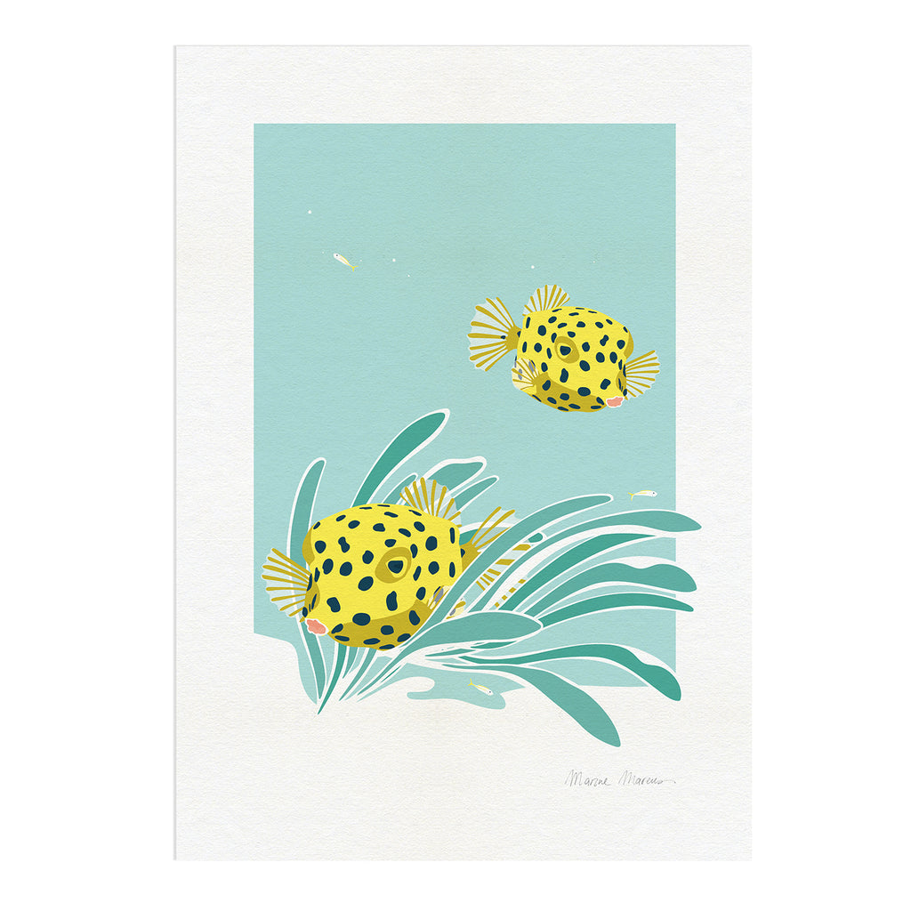 Baby Box - Print