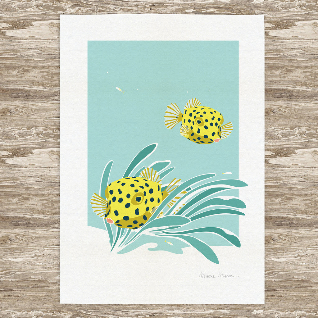Baby Box - Print