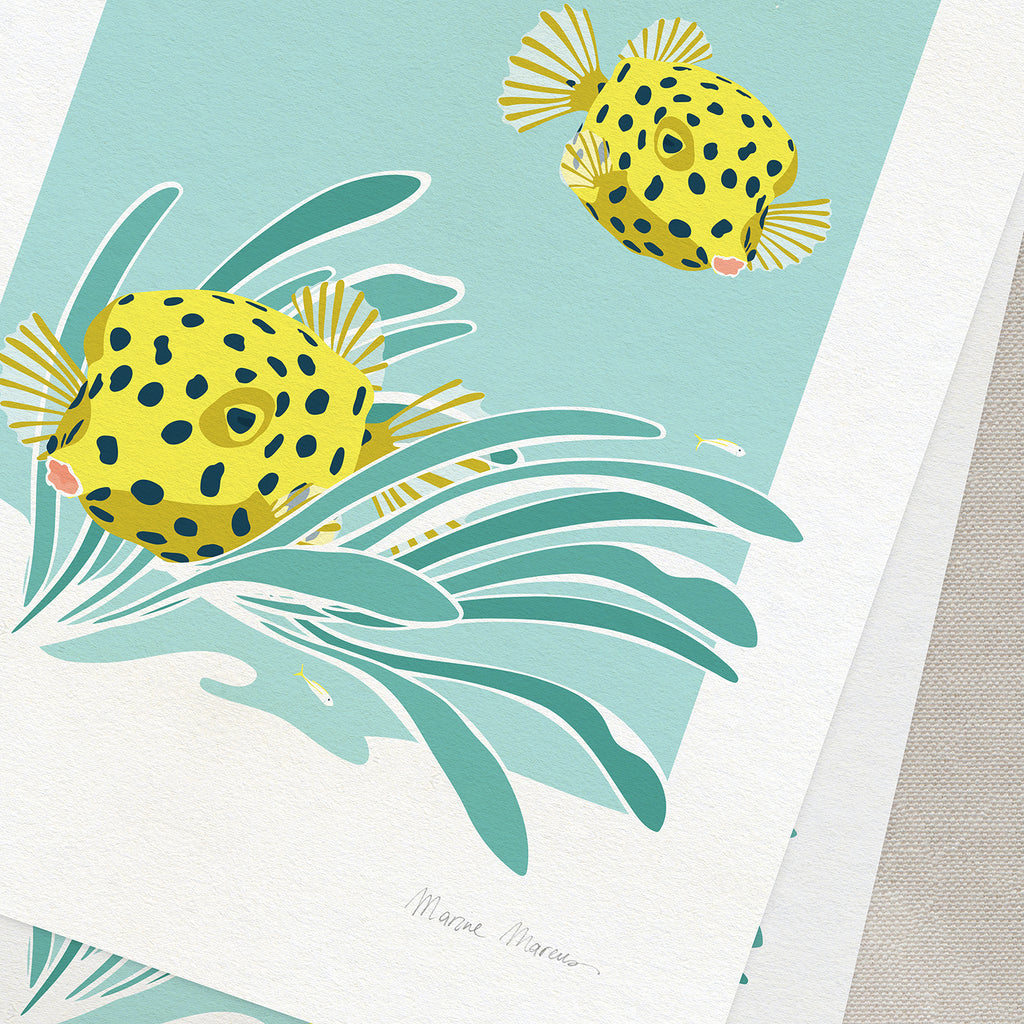 Baby Box - Print