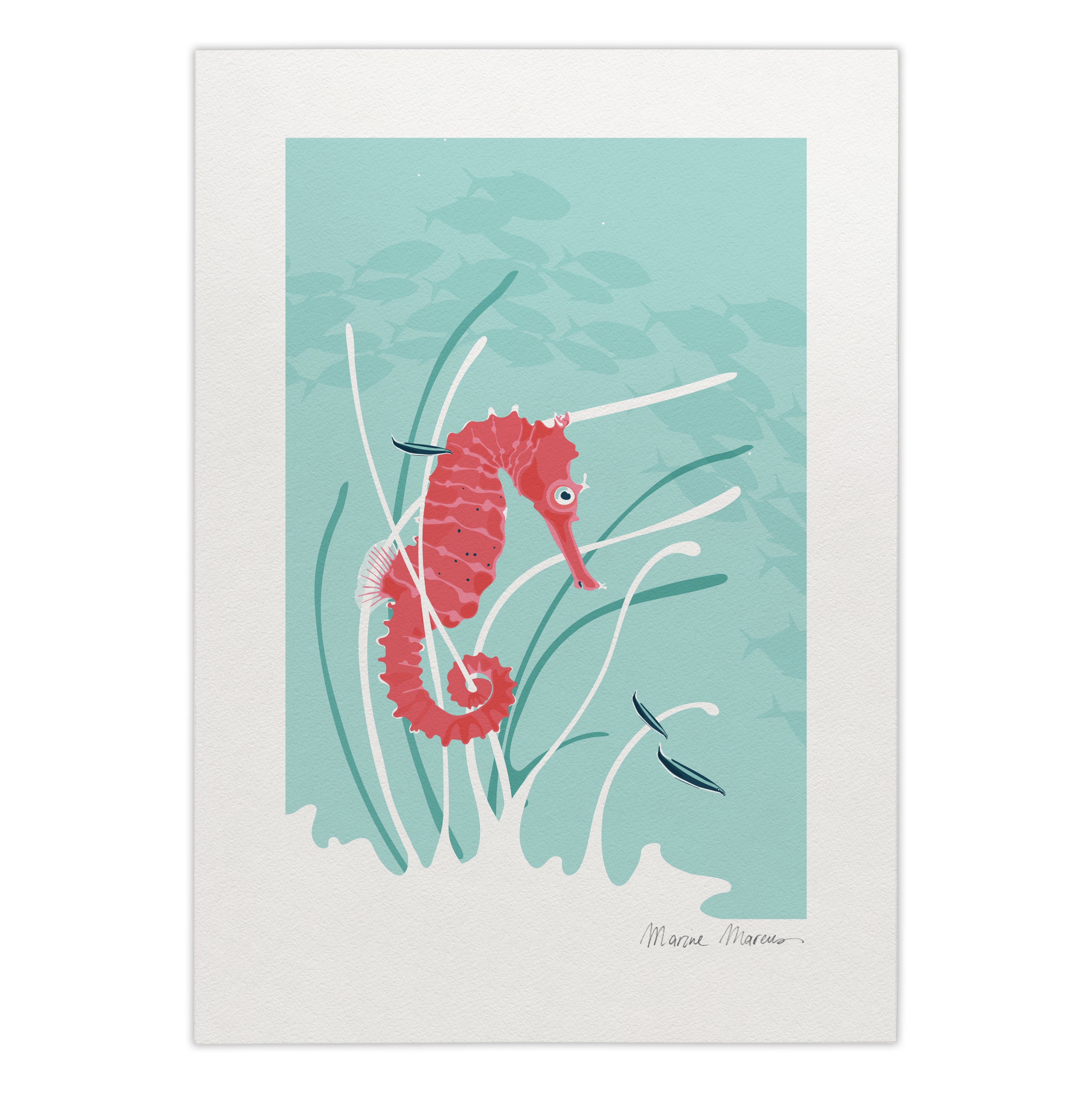 "Hiding in Seagrass"