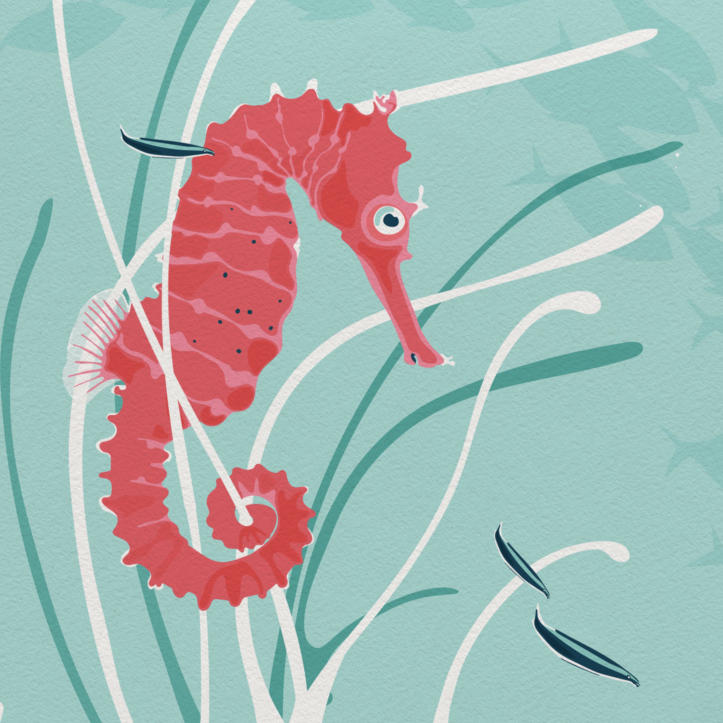 "Hiding in Seagrass"