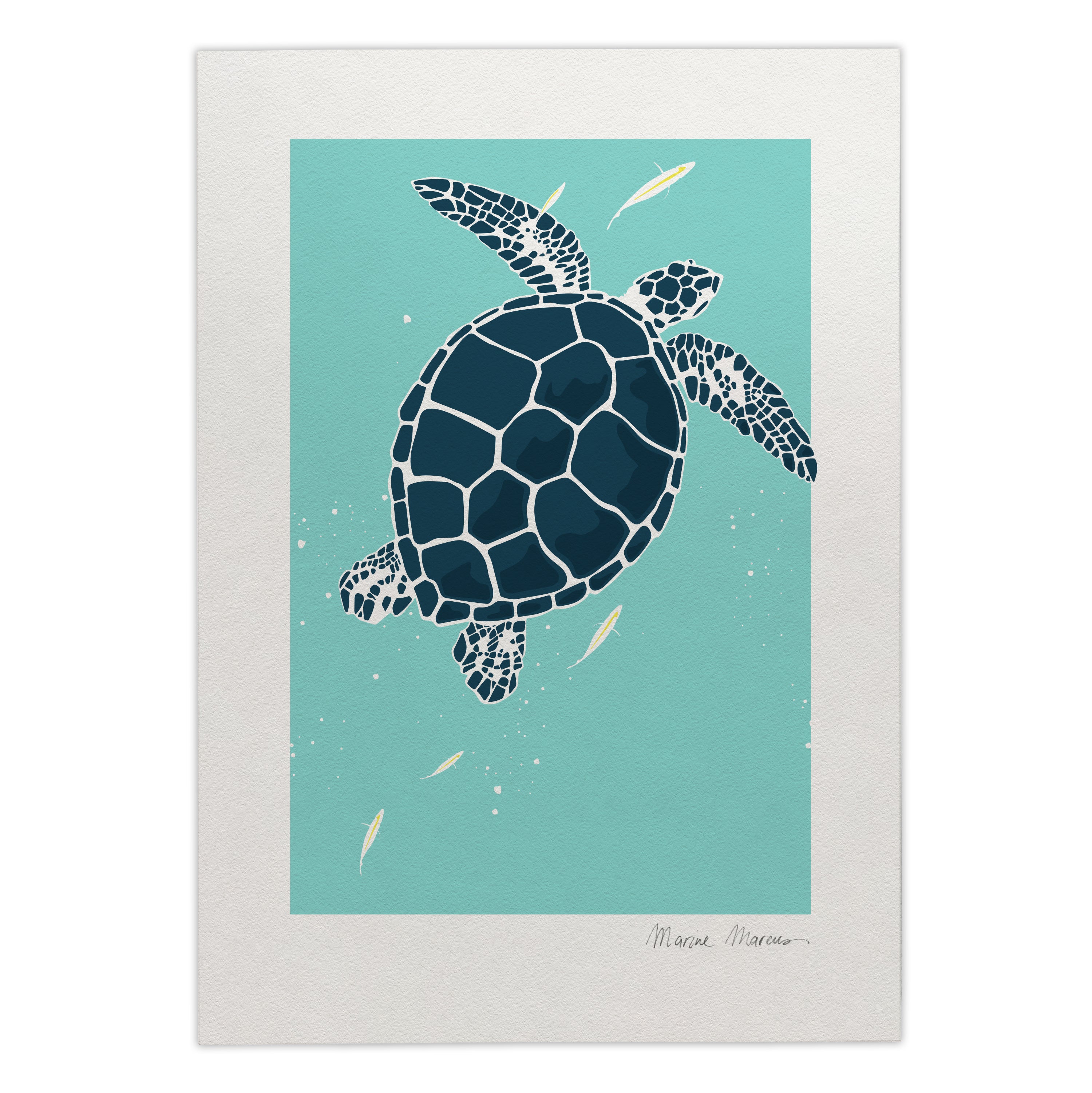 "Tortue de Raʻiātea"