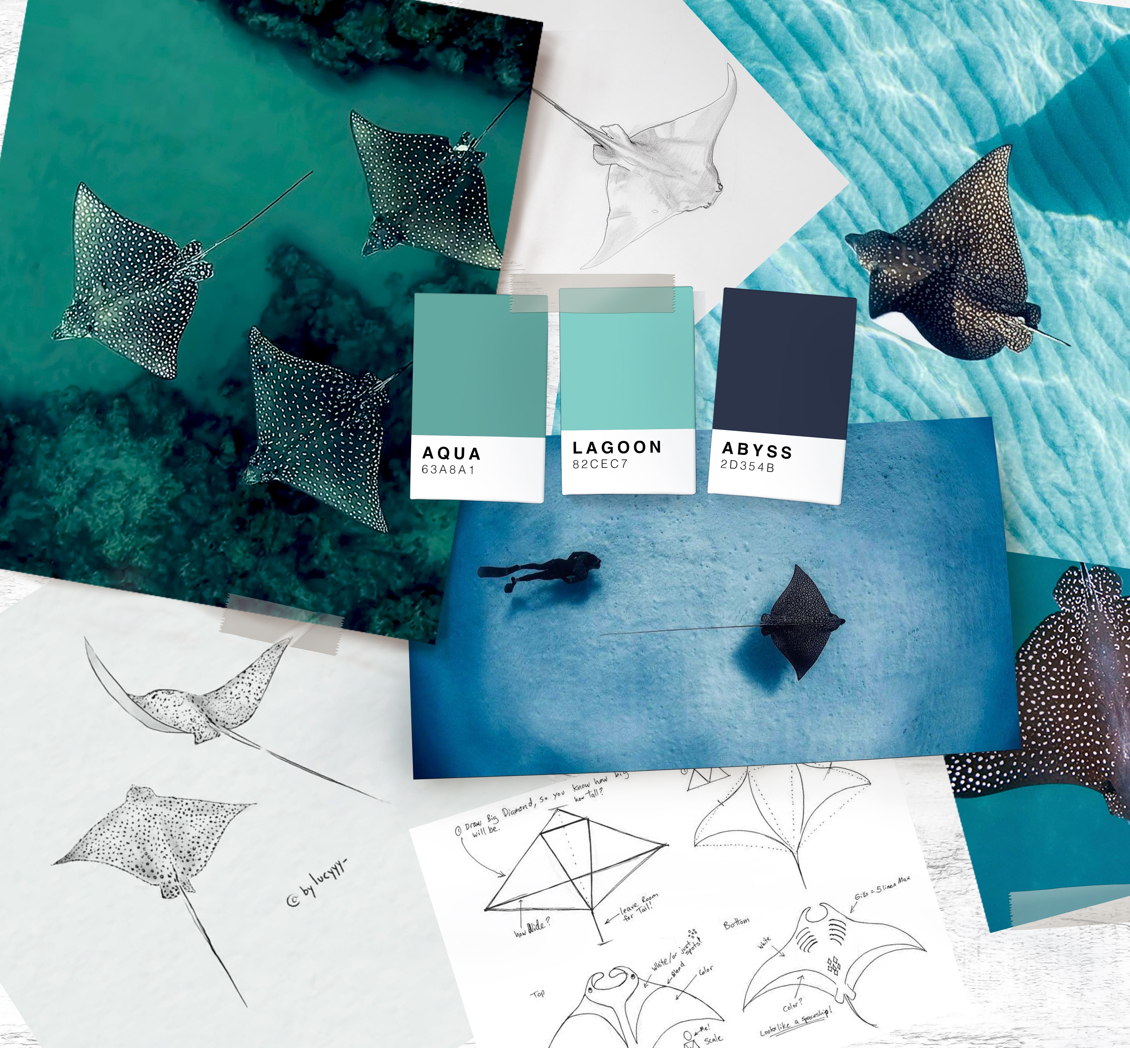 Spotted in the Lagoon - Print