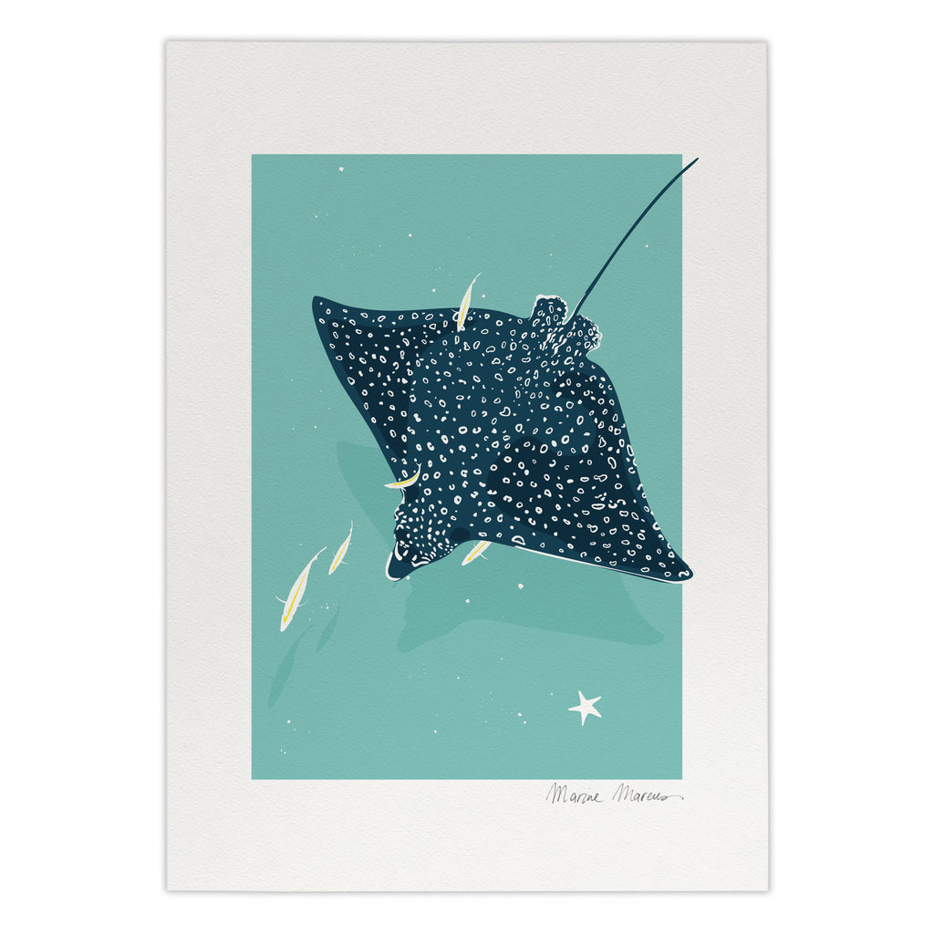 Spotted in the Lagoon - Print