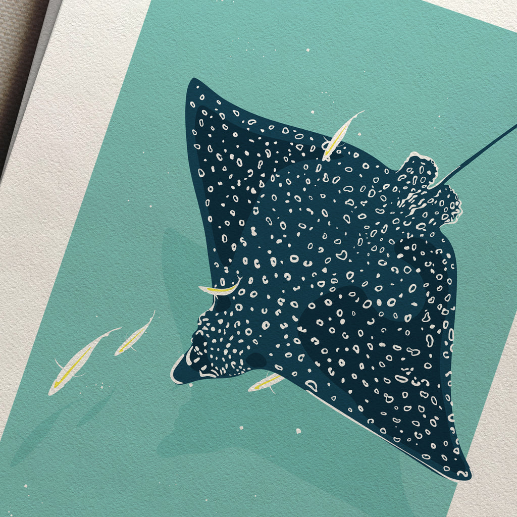 Spotted in the Lagoon - Print